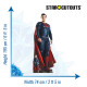 Figurine en carton taille réelle - Superman - Henry Cavill - Acteur Britannique - Hauteur 195 cm