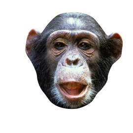 Masque en carton - Animaux - Chimpanzé - Taille A4