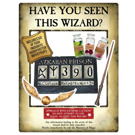 Cadre à selfie en carton Doré Harry Potter, Le Prisonnier d'Azkaban Wanted Have you seen this wizard 87x70 CM