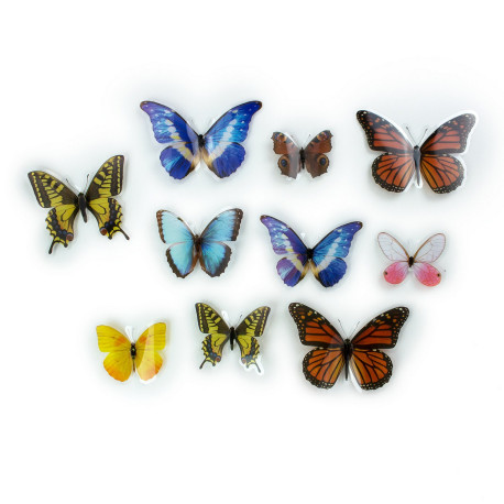 Stickers repositionnables - Papillons colorés