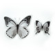 Stickers repositionnables - Papillons noirs et blancs 