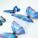 Stickers repositionnables Papillons bleus 