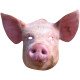 Masque en carton - Animaux - Cochon - Taille A4