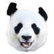 Masque en carton - Animaux - Panda - Taille A4