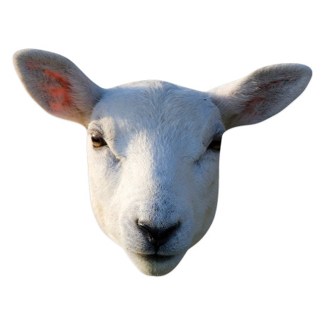 Masque en carton - Animaux - Mouton - Taille A4