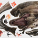 Stickers repositionnables Jurassic World : Fallen Kingdom - T-Rex