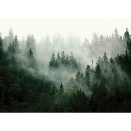 Papier peint Fôret de Sapins et brouillard - 375 x 270 cm