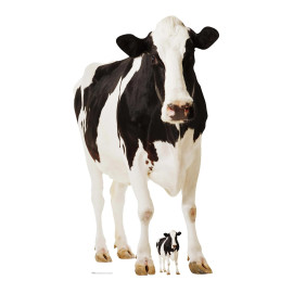Figurine en carton Vache noire et blanche type Prim'Holstein - Haut152 cm