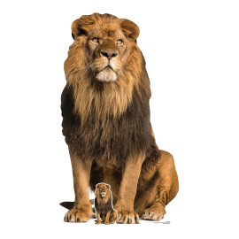 Figurine en carton taille réelle Le Lion assis H 155 CM