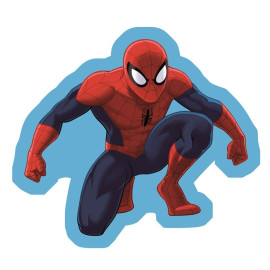 Coussin en Forme de Spider Man