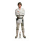 Figurine en carton – Luke Skywalker - Star Wars - Haut 174 cm