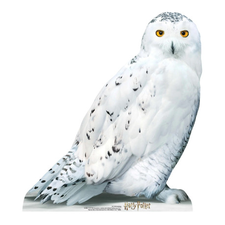 Figurine en carton taille réelle Hedwige la chouette blanche vue de profil  Film Harry Potter 74 CM