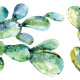 Stickers - Cactus Verts Fluorescents - Hauteur 22,9 cm