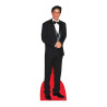 Figurine en carton Shah Rukh Khan alias SRK star de Bollywood -Haut 184cm