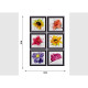 Stickers Fleurs Multicolores Dans Un Cadre Noir - 1 planche 65 x 85 cm