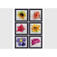 Stickers - Fleurs Multicolores Dans Un Cadre Noir - 1 planche 65 x 85 cm