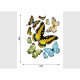 Stickers Papillons Jaunes Verts Bleus - 1 planche 65x85 cm