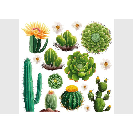 Stickers - Cactus - 1 planche 30x30cm