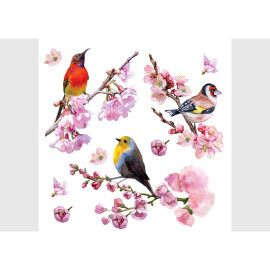 Stickers 3 oiseaux posés sur des fleurs de Sakura - 1 planche 30x30cm