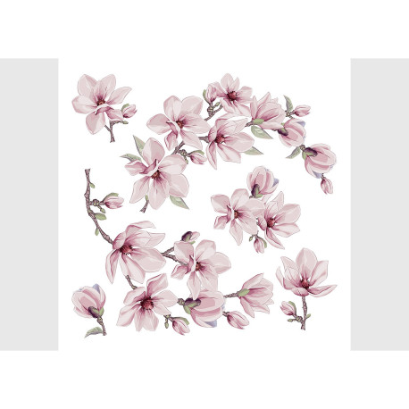 Stickers Fleurs Magnolia Blossom - 1 planche 30x30cm