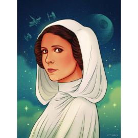 Poster d'Art - Star Wars - Princess of Alderaan - 30 x 40 cm