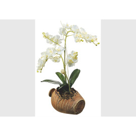 Stickers Orchidées blanches Dans une jarre - 1 planche 42,5 x 65 cm