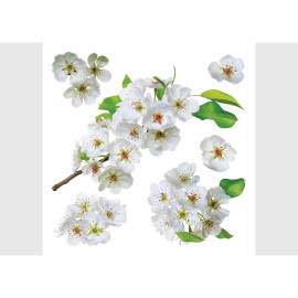 Stickers Fleurs blanches et feuilles de pommier - 1 planche 30x30cm