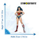 Figurine en carton Wonder Woman comics (année 80) les mains sur les hanches Hauteur 177 CM