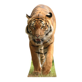 Figurine en carton taille réelle Le Tigre H 130 CM