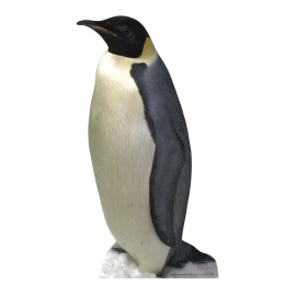 Figurine en carton taille réelle Le pingouin H 86 CM