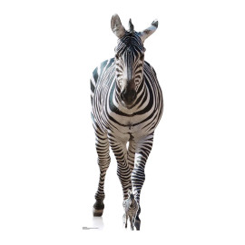 Figurine en carton Zebre adulte Haut 162 cm