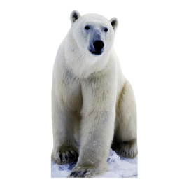 Figurine en carton Ours polaire (ours blanc) -Haut 176 cm