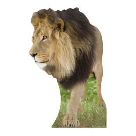 Exemple de vue de dos Figurine en carton taille réelle Le Lion H 130 CM