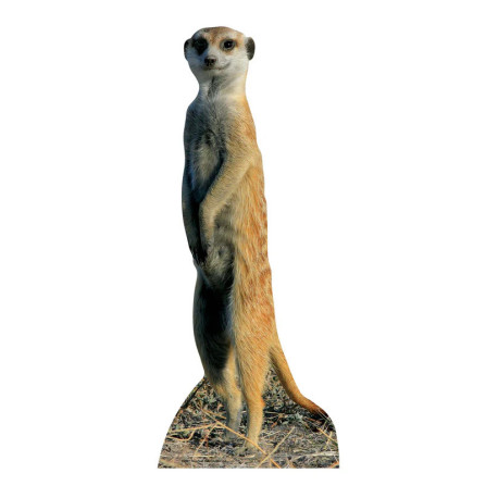 Figurine en carton Suricate (Meerkat) hauteur 98 cm