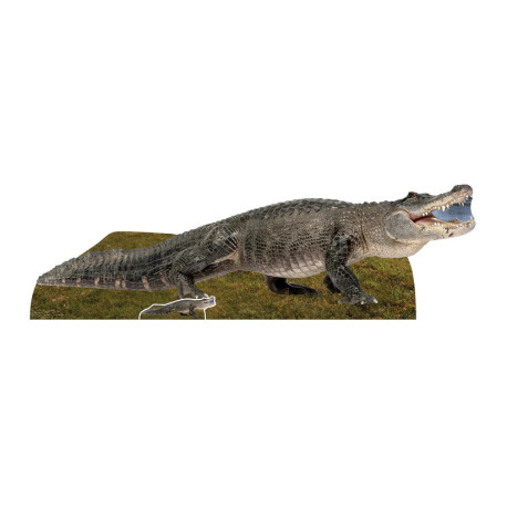 Figurine en carton Alligator eau douce hauteur 58 cm