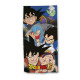 Serviette de plage - Dragon Ball Z Tous Les Personnages - 70x140 cm