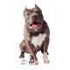 Number One chien (Pit bull )de Jean-Luc Picard Star Trek