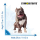 DIMENSIONS Number One chien (Pit bull )de Jean-Luc Picard Star Trek