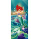 Poster porte Ariel Princesse Disney intisse 90X202 CM