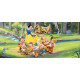 Poster géant Blanche Neige et les 7 nains Princesse Disney intisse 202X90 CM