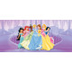 Poster géant Princesses Disney intisse 202X90 CM