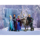 Papier peint XXL intisse La Reine des Neiges Disney Frozen 360X255 CM