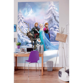 Papier peint La Reine des Neiges Pays d'hiver Disney Frozen 284X254 CM