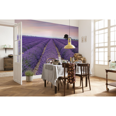 Photo murale - 400 x 260 cm - panoramique intissé - Provence