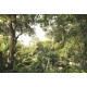 Photo murale - 368 x 248 cm - panoramique intissé - Dschungel