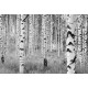 Photo murale - 368 x 248 cm - panoramique intissé - Woods