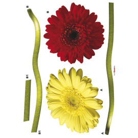 Gerbera, Sticker mural deux grandes fleurs rouge et jaune - 50x70 cm