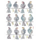 Sticker mural oiseaux avec 12 pigeons posés sur un fil - 50x70 cm
