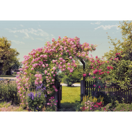 Rose Garden Photo murale - 368 x 254 cm