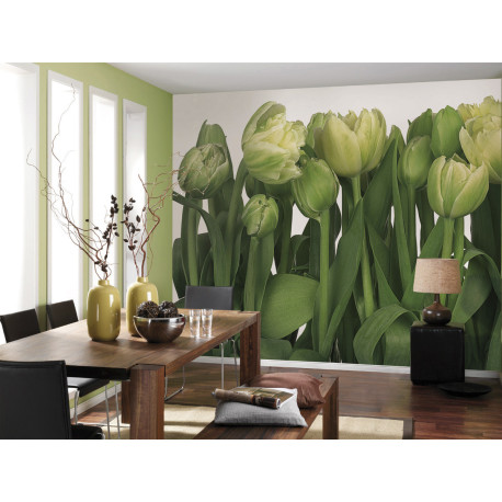Tulips Photo murale - 368 x 254 cm